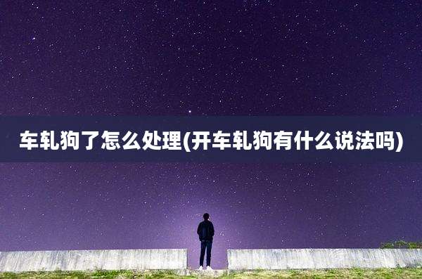 车轧狗了怎么处理(开车轧狗有什么说法吗)