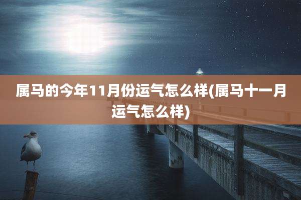 属马的今年11月份运气怎么样(属马十一月运气怎么样)