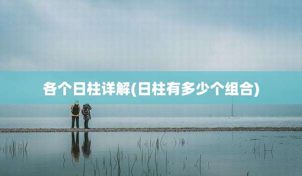 各个日柱详解(日柱有多少个组合)