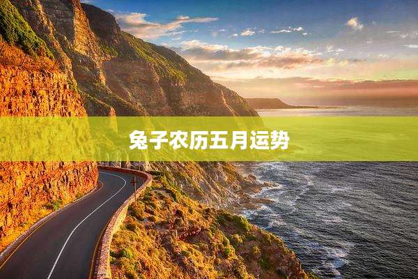 兔子农历五月运势