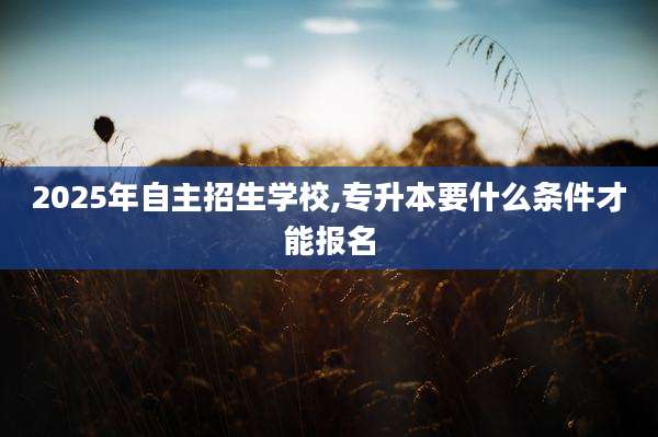 2025年自主招生学校,专升本要什么条件才能报名