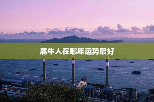属牛人在哪年运势最好