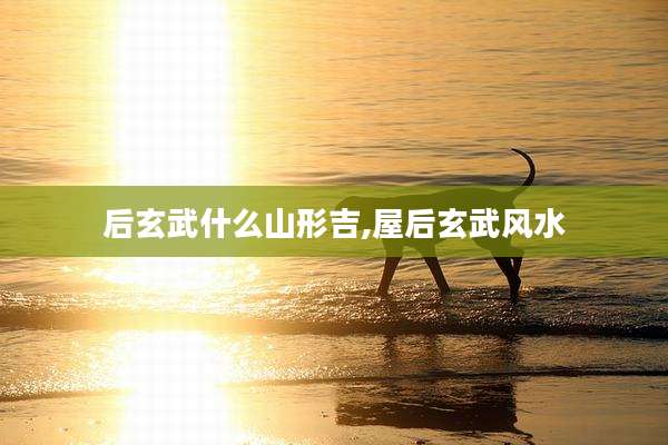 后玄武什么山形吉,屋后玄武风水
