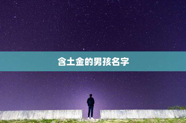 含土金的男孩名字