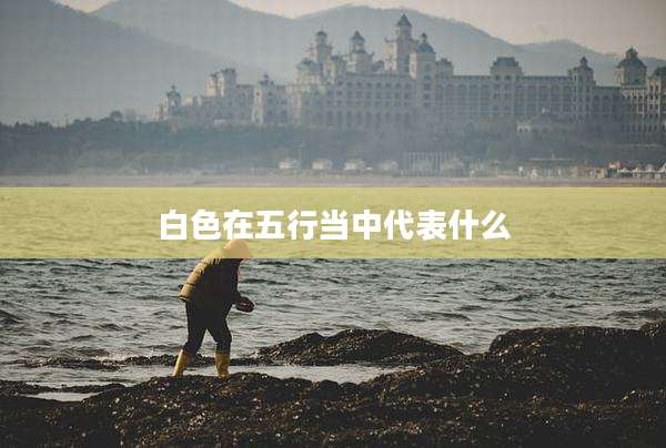白色在五行当中代表什么