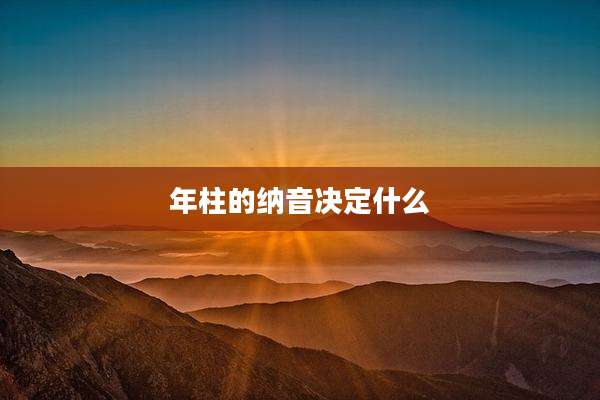 年柱的纳音决定什么