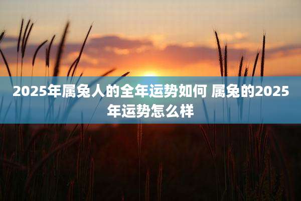 2025年属兔人的全年运势如何 属兔的2025年运势怎么样