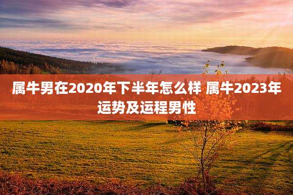 属牛男在2020年下半年怎么样 属牛2023年运势及运程男性