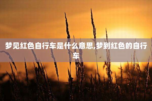 梦见红色自行车是什么意思,梦到红色的自行车