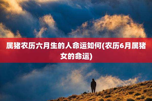 属猪农历六月生的人命运如何(农历6月属猪女的命运)