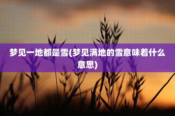 梦见一地都是雪(梦见满地的雪意味着什么意思)
