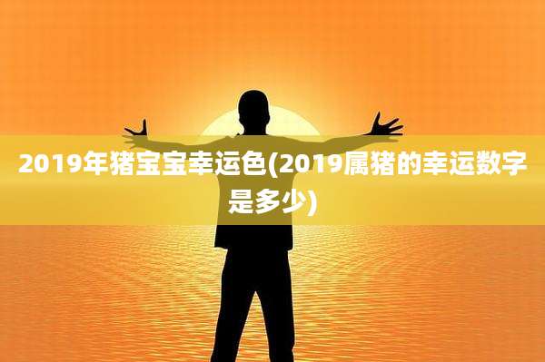 2019年猪宝宝幸运色(2019属猪的幸运数字是多少)