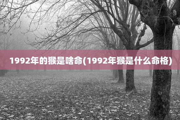 1992年的猴是啥命(1992年猴是什么命格)