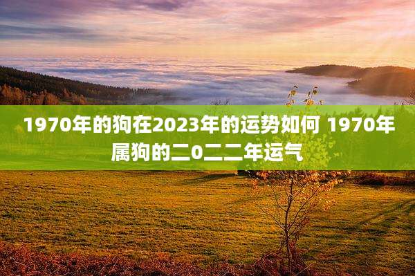 1970年的狗在2023年的运势如何 1970年属狗的二0二二年运气