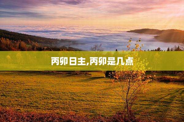 丙卯日主,丙卯是几点