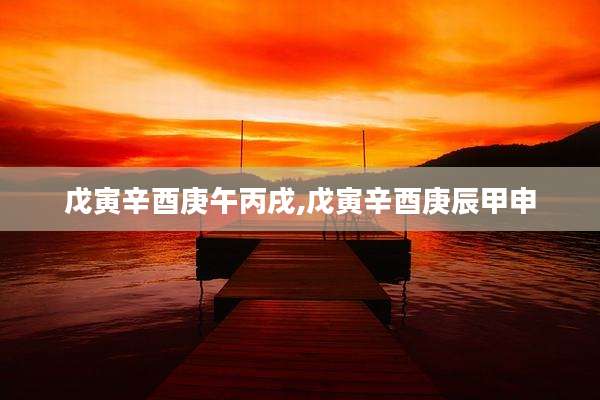 戊寅辛酉庚午丙戌,戊寅辛酉庚辰甲申