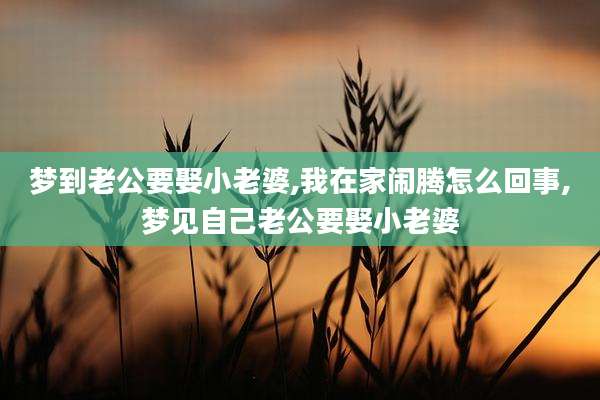 梦到老公要娶小老婆,我在家闹腾怎么回事,梦见自己老公要娶小老婆
