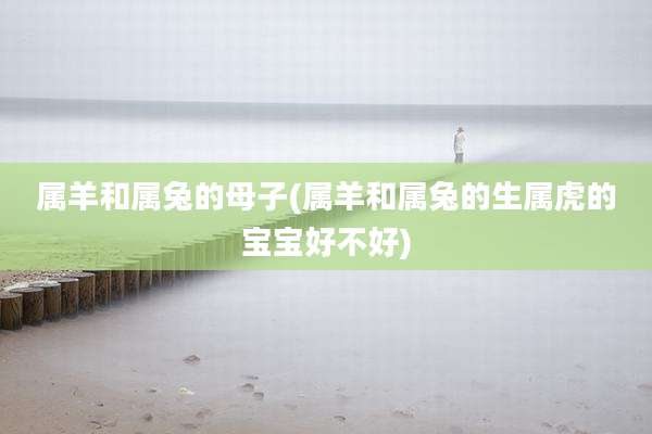属羊和属兔的母子(属羊和属兔的生属虎的宝宝好不好)