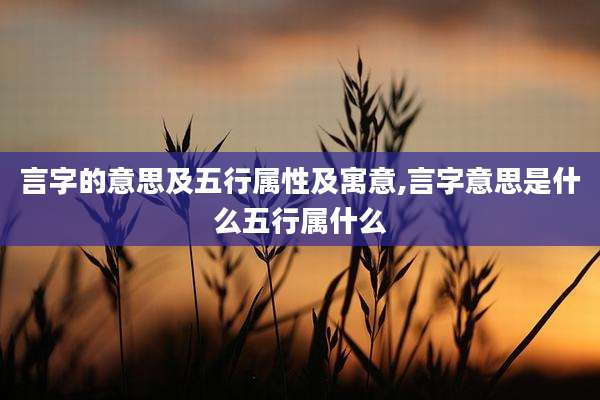 言字的意思及五行属性及寓意,言字意思是什么五行属什么