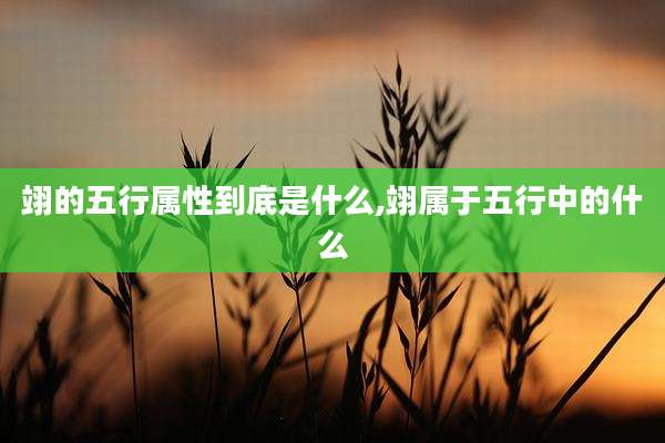 翊的五行属性到底是什么,翊属于五行中的什么