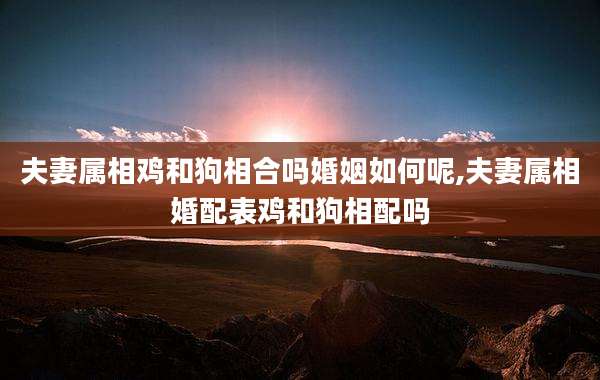 夫妻属相鸡和狗相合吗婚姻如何呢,夫妻属相婚配表鸡和狗相配吗