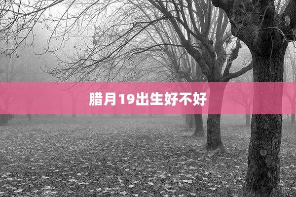 腊月19出生好不好