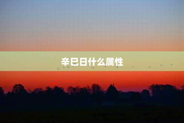 辛巳日什么属性