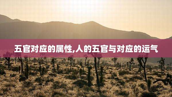 五官对应的属性,人的五官与对应的运气