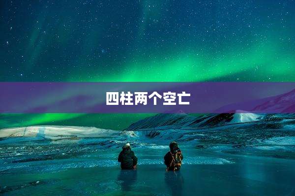 四柱两个空亡