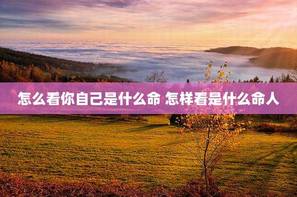 怎么看你自己是什么命 怎样看是什么命人