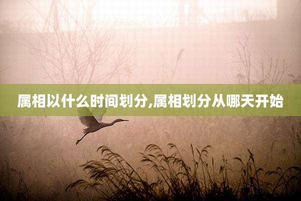 属相以什么时间划分,属相划分从哪天开始