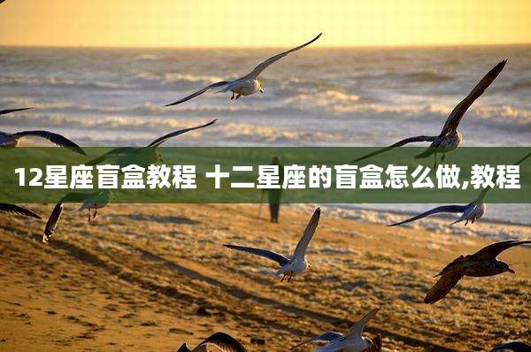 12星座盲盒教程 十二星座的盲盒怎么做,教程