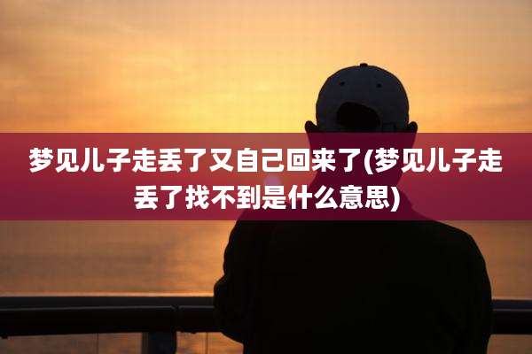 梦见儿子走丢了又自己回来了(梦见儿子走丢了找不到是什么意思)