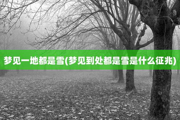 梦见一地都是雪(梦见到处都是雪是什么征兆)