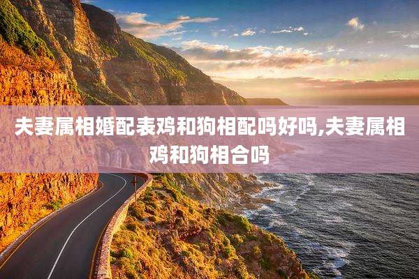 夫妻属相婚配表鸡和狗相配吗好吗,夫妻属相鸡和狗相合吗