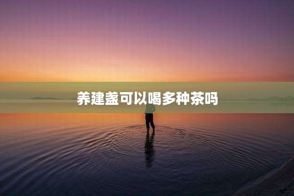 养建盏可以喝多种茶吗