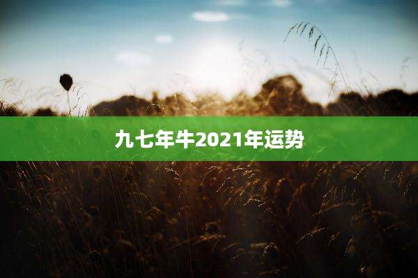 九七年牛2021年运势