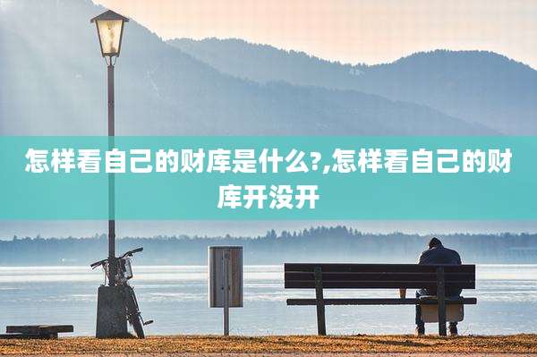 怎样看自己的财库是什么?,怎样看自己的财库开没开