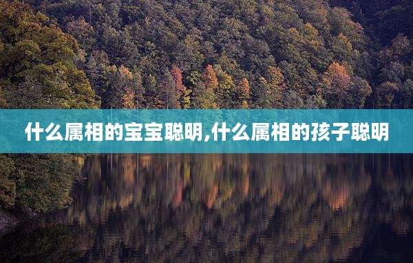 什么属相的宝宝聪明,什么属相的孩子聪明
