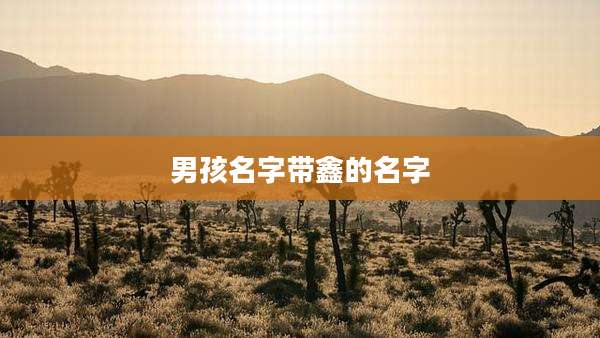 男孩名字带鑫的名字
