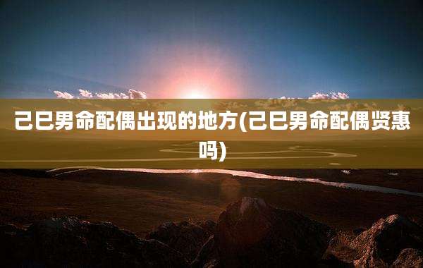己巳男命配偶出现的地方(己巳男命配偶贤惠吗)