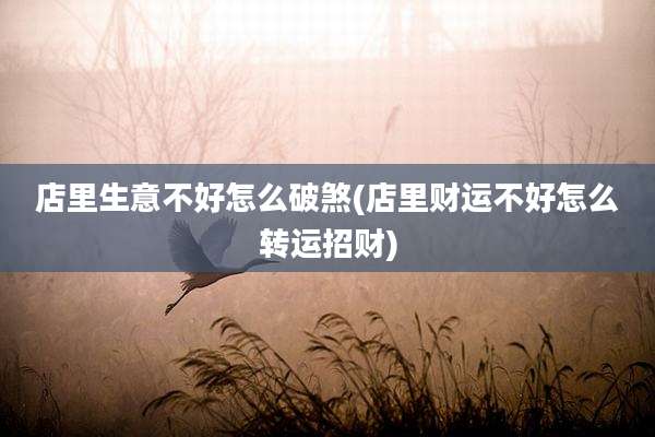店里生意不好怎么破煞(店里财运不好怎么转运招财)