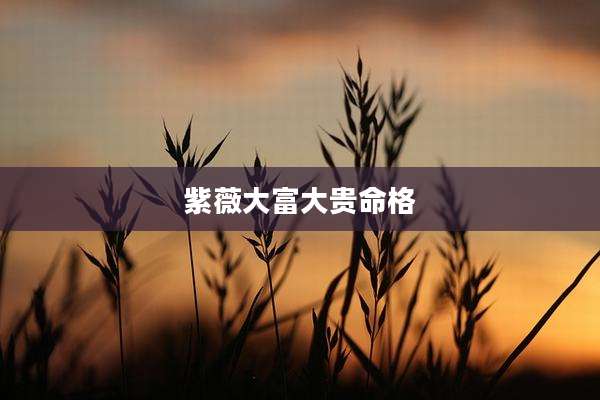 紫薇大富大贵命格