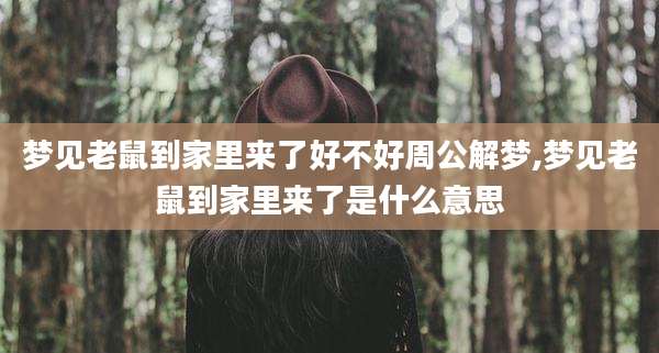 梦见老鼠到家里来了好不好周公解梦,梦见老鼠到家里来了是什么意思