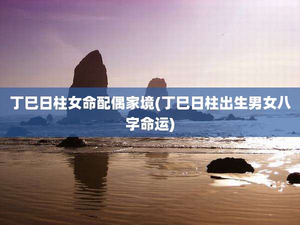 丁巳日柱女命配偶家境(丁巳日柱出生男女八字命运)
