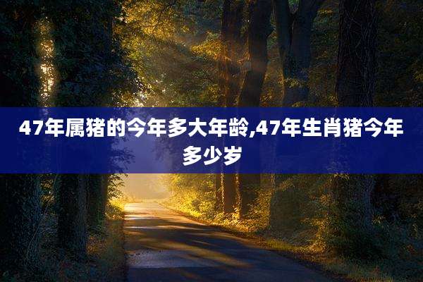47年属猪的今年多大年龄,47年生肖猪今年多少岁