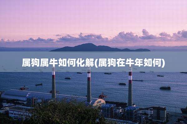 属狗属牛如何化解(属狗在牛年如何)