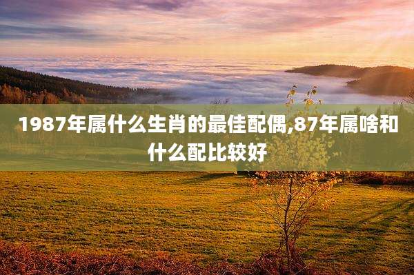 1987年属什么生肖的最佳配偶,87年属啥和什么配比较好