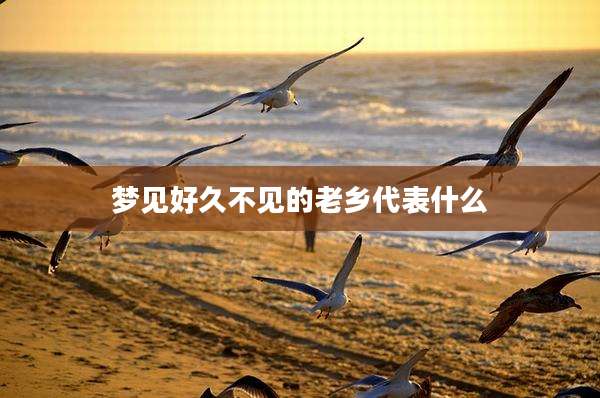 梦见好久不见的老乡代表什么