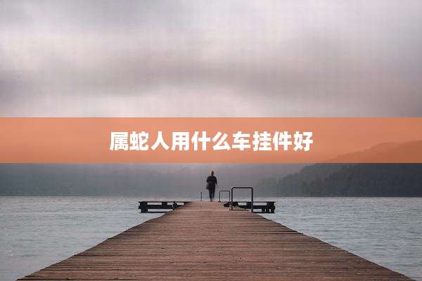 属蛇人用什么车挂件好